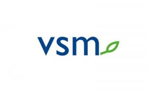 VSM